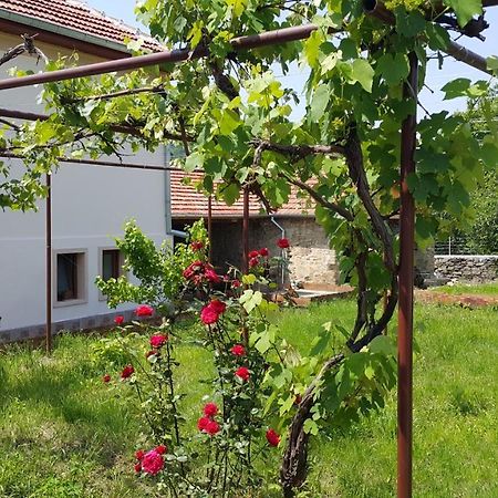 Guest House Art Eco Land Ganchovets Экстерьер фото