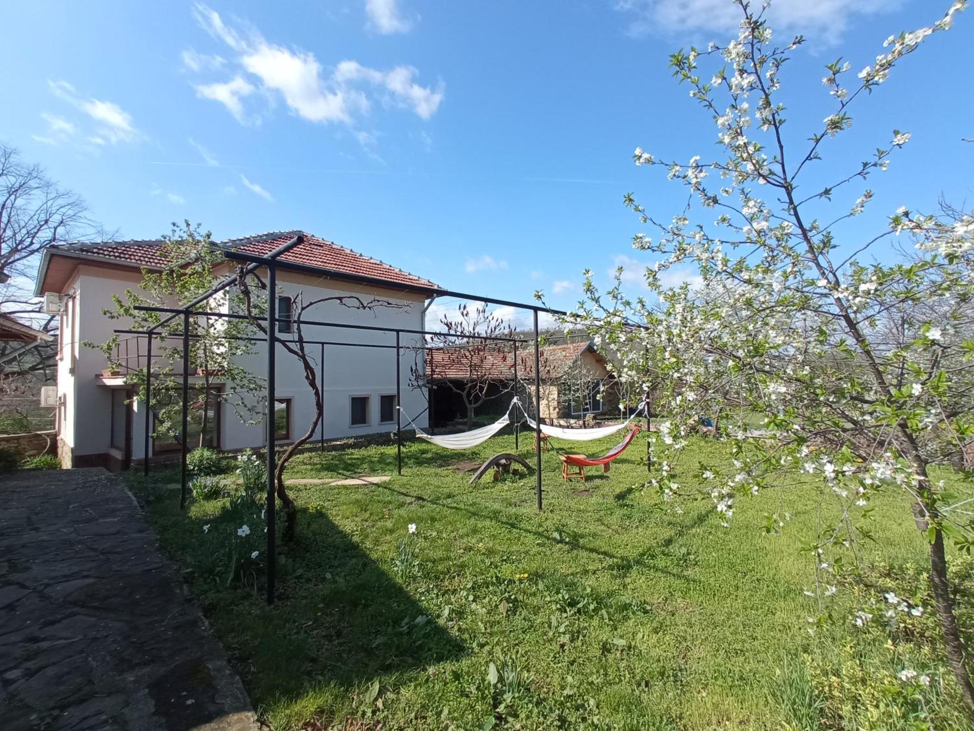 Guest House Art Eco Land Ganchovets Экстерьер фото