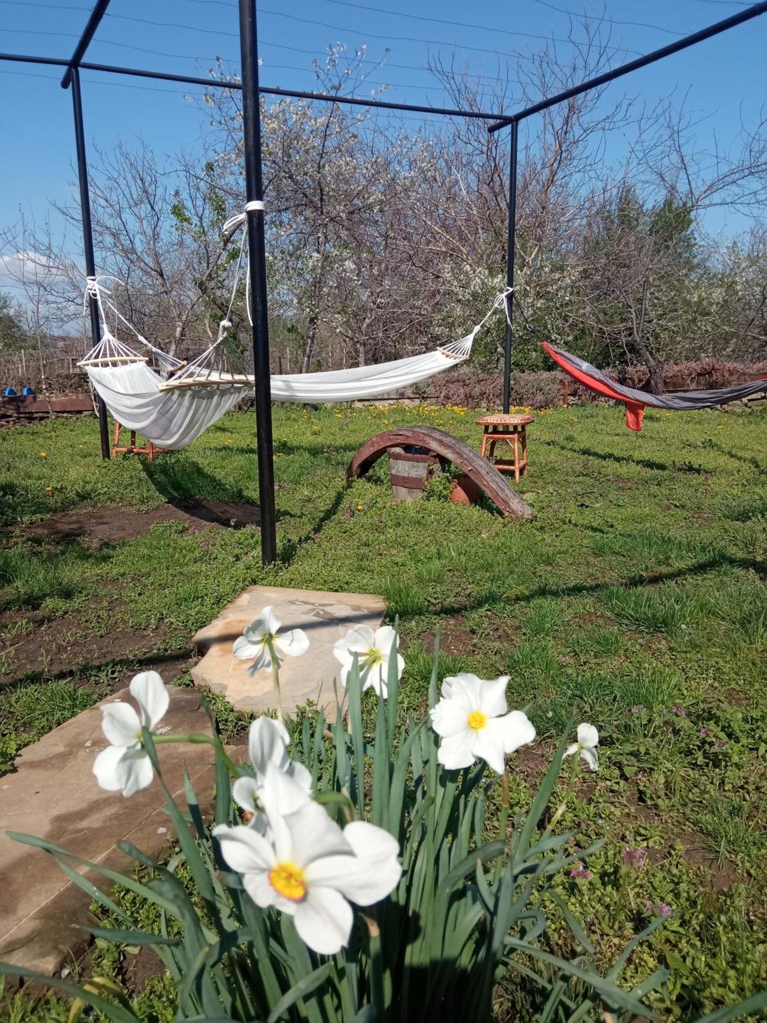 Guest House Art Eco Land Ganchovets Экстерьер фото