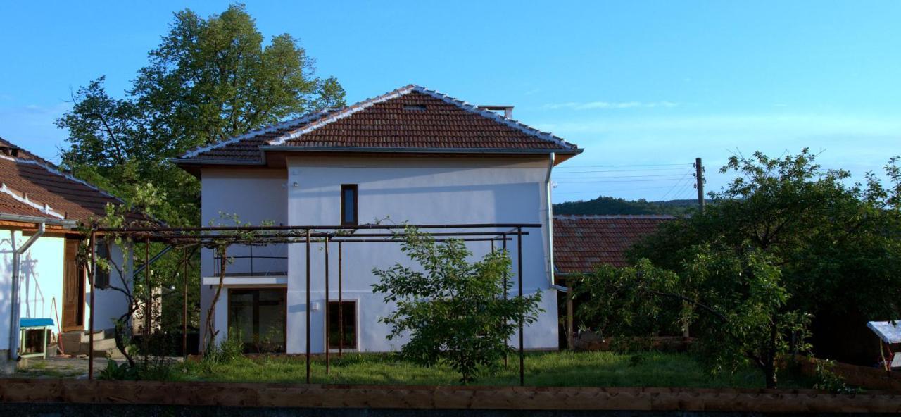 Guest House Art Eco Land Ganchovets Экстерьер фото