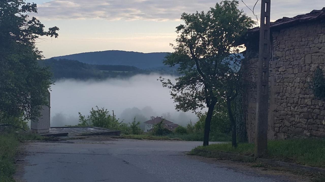 Guest House Art Eco Land Ganchovets Экстерьер фото